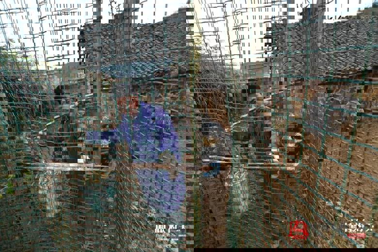 残疾夫妇放弃贫困户“宝贵”名额 养3种动物带村民脱贫