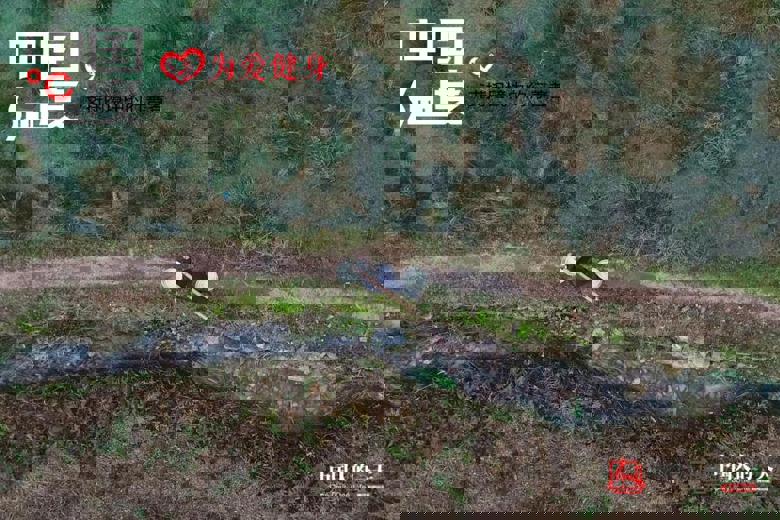 爷孙三代深山挑水煮茶百余年 家人反对被迫分居十几年