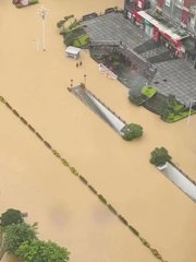 我与股市