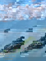 互联网物种多样性观察