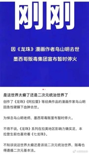 龙珠的力量 ???