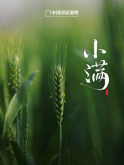 这世界果然是个草台班子