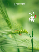 歹徒兴奋拳