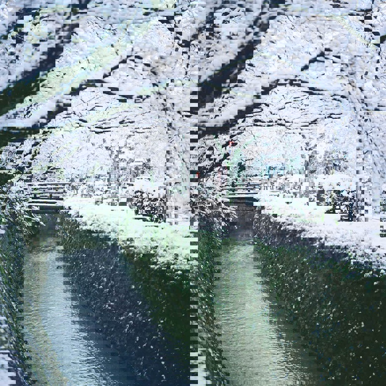 冬天的日本