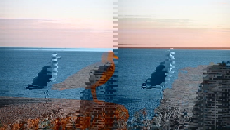 蔚蓝海岸