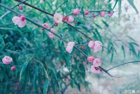 洗洗睡|再见,斯内普教授