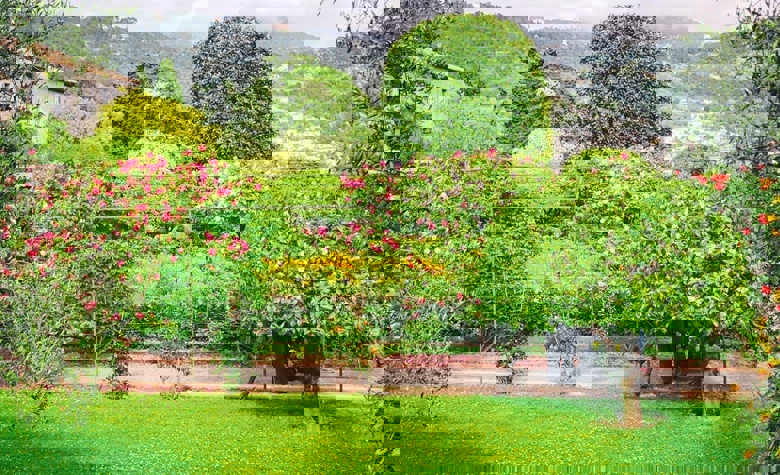 蔚蓝海岸