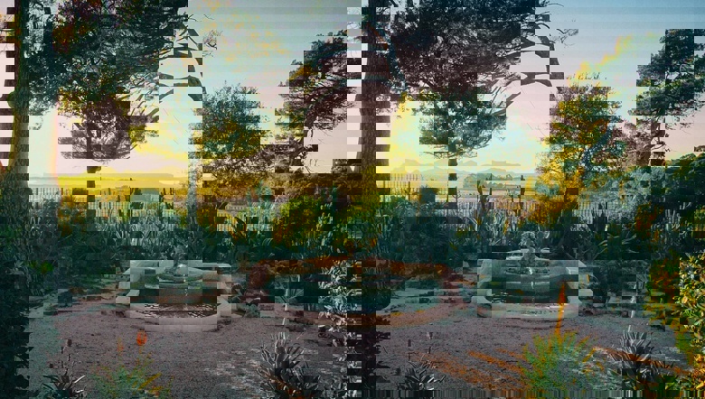 蔚蓝海岸