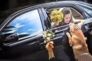 冰箱姐搞笑：婚礼现场，新郎新娘打起来了！这婚还结不结？