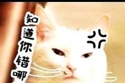 新闻哥吐槽：不就是逗你一下，至于使出凌波微步吗？这猫真不能要了！