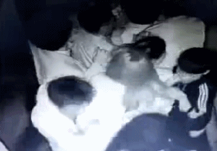 深井冰：不去玩一次鬼屋，永远不知道自己胆子有多小！