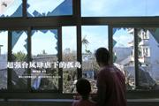 【活着】超强台风肆虐下的孤岛