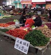 冰箱姐冷笑话1430：你这智商我信得过