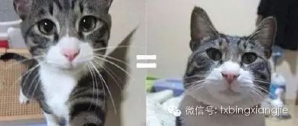 冰箱姐冷笑话1404:那到底还找不找女朋友呢？