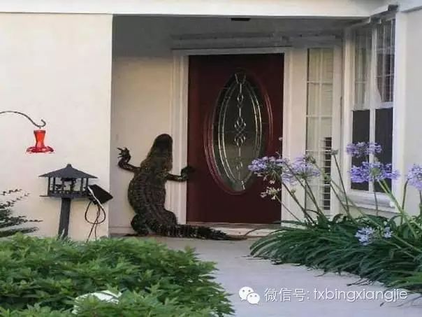 冰箱姐冷笑话1404:那到底还找不找女朋友呢？