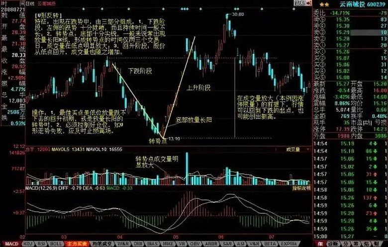 “985毕业一年后，我连治感冒的钱都没有”