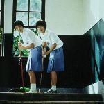 小事 · 树洞