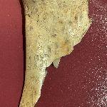 为何甲骨文迟至光绪年间才被学者发现？ 