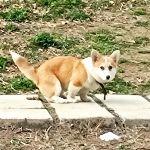瞎扯 · 如何正确地吐槽