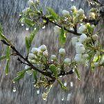 每天傍晚都下场雨好舒服，以北京为例告诉你这是怎么回事