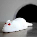 深夜惊奇 · 程序员的神奇技能