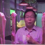 16 年过去了，那位卖猪肉的北大才子还好吗？