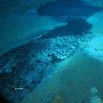 海底也会「下雪」，还有各种千奇百怪的生物