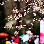 深夜惊奇 · 为什么下跪