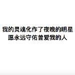 大误 · 猫的守墓人