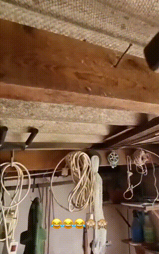 23.gif