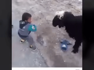 9.gif