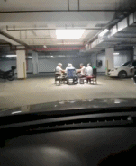 8.gif